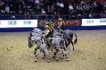 Quadrille - 00850